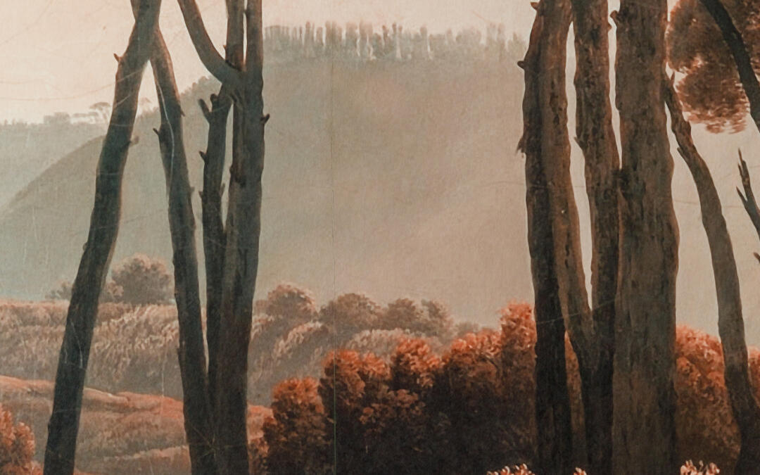 Détail sur le papier peint entre forêt et paysage, par Marjolaine Berthet Interior Design, Architecte d'intérieur à Lyon 69